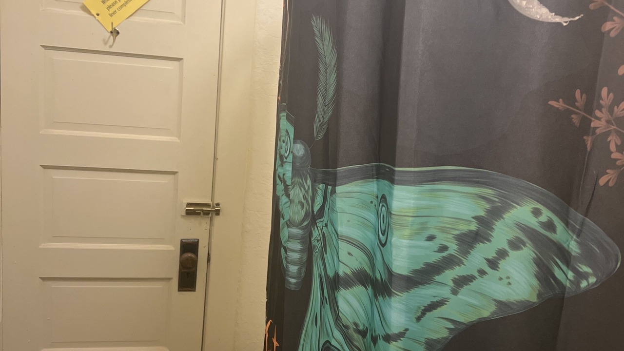 Photo of Bathroom in Springer