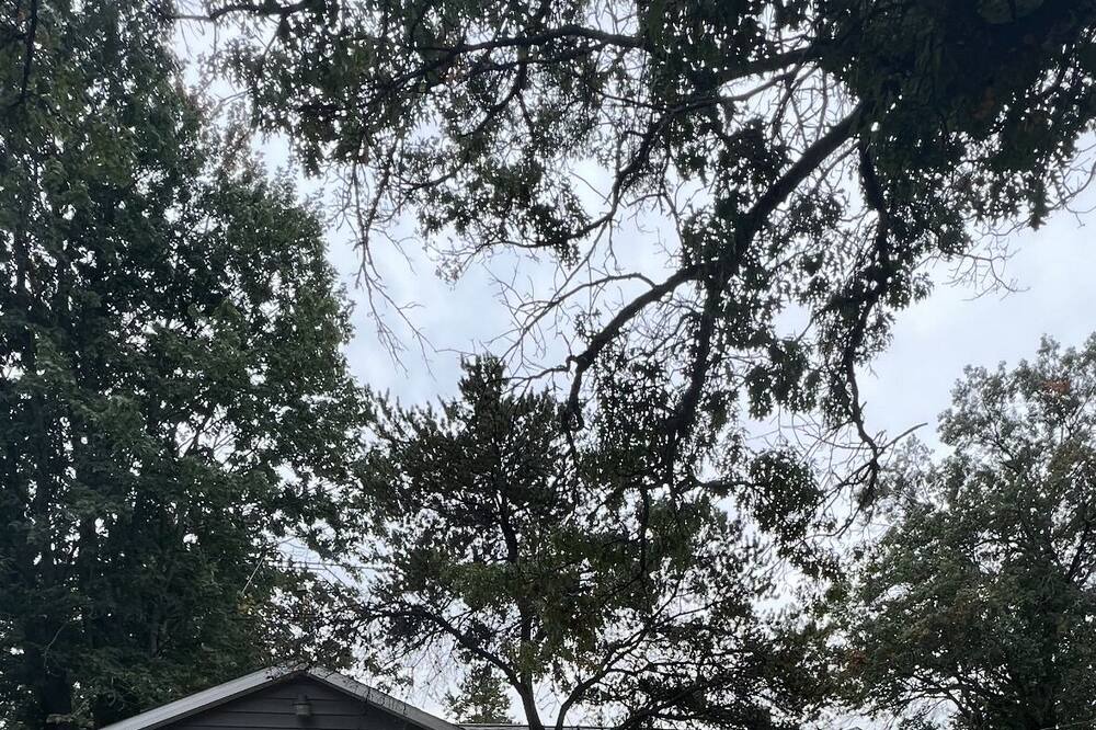 Photo of Outdoor in St. Helen