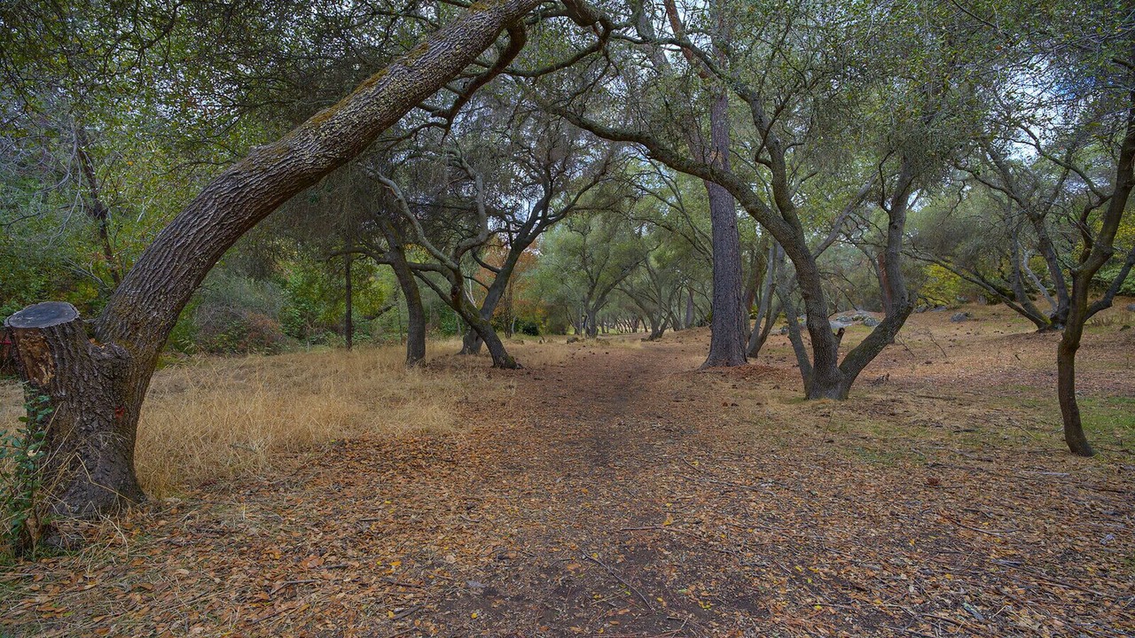 Photo of Others in Granite Bay