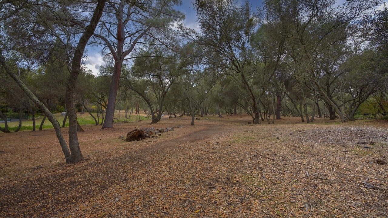 Photo of Outdoor in Granite Bay