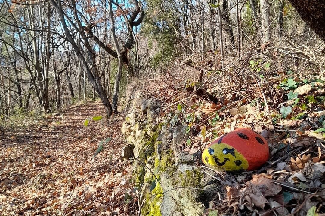 Photo of Outdoor in Chirols
