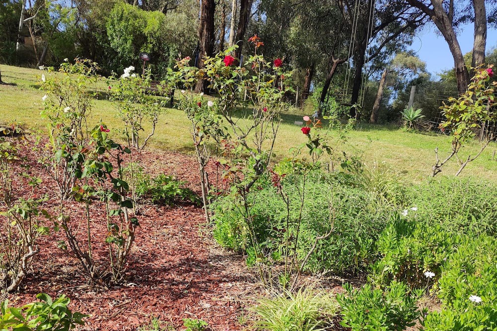 Photo of Outdoor in Lower Plenty