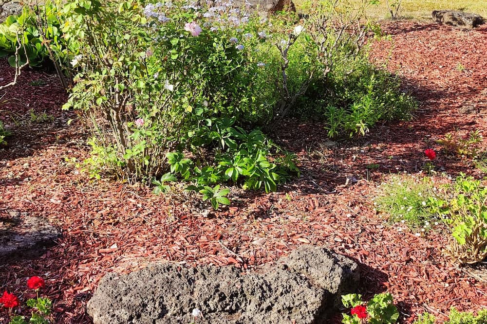 Photo of Outdoor in Lower Plenty