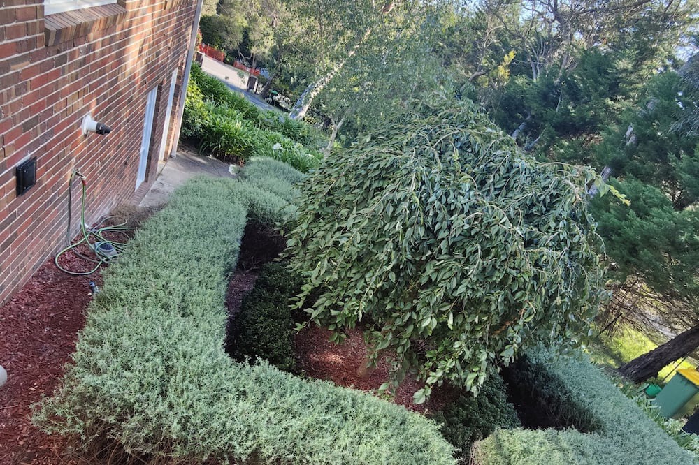 Photo of Outdoor in Lower Plenty