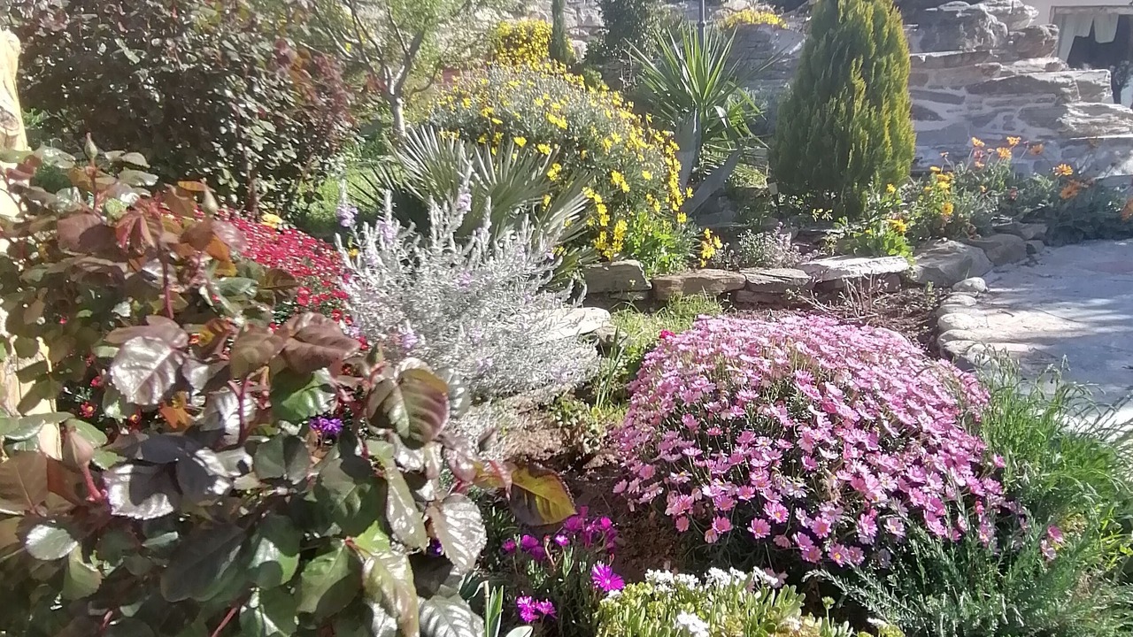 Photo of Outdoor in Pino