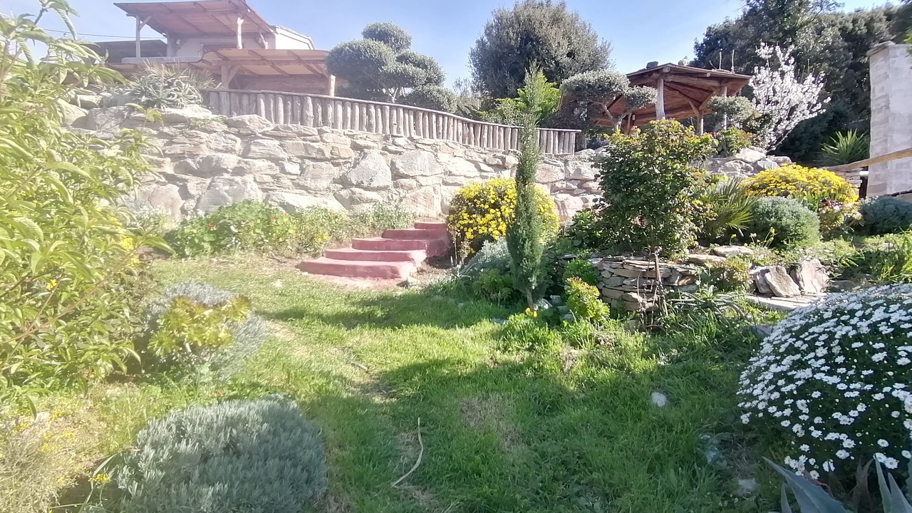 Photo of Outdoor in Pino