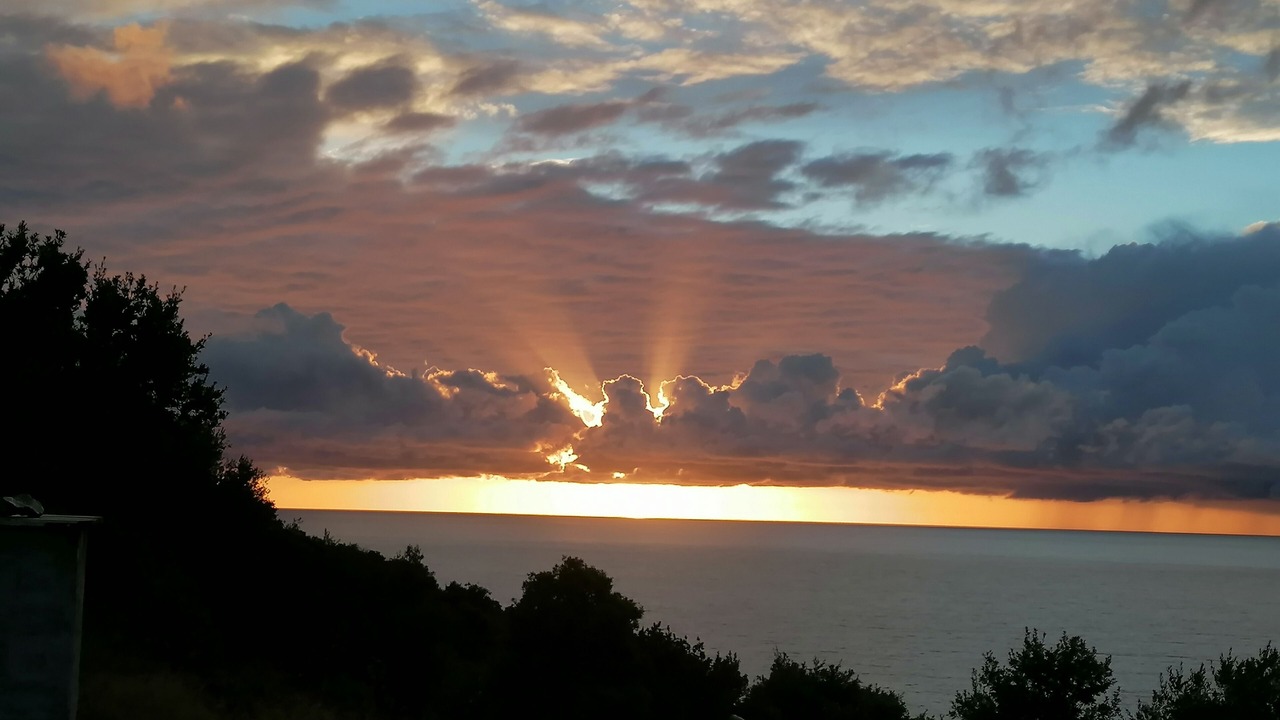 Photo of Others in Pino