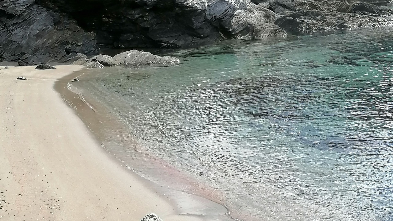 Photo of Others in Pino