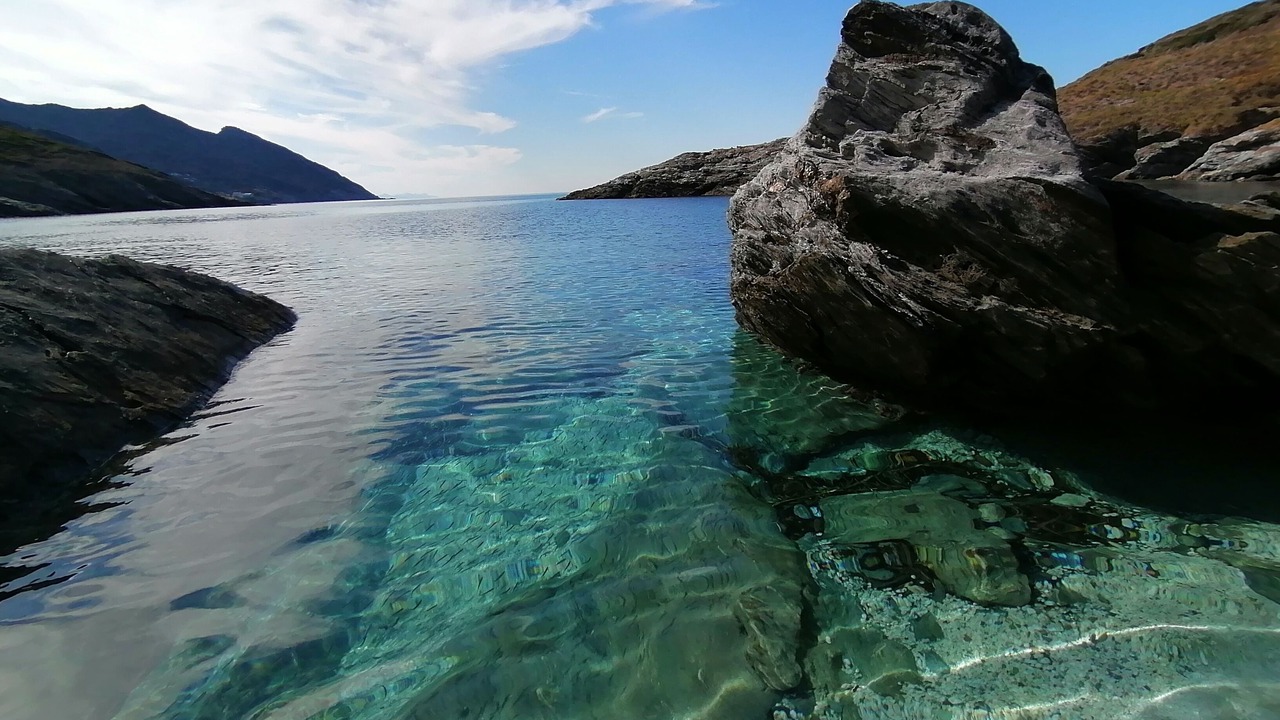 Photo of Others in Pino