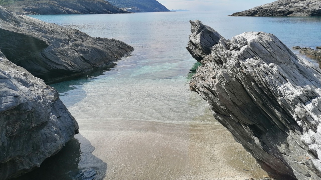 Photo of Others in Pino