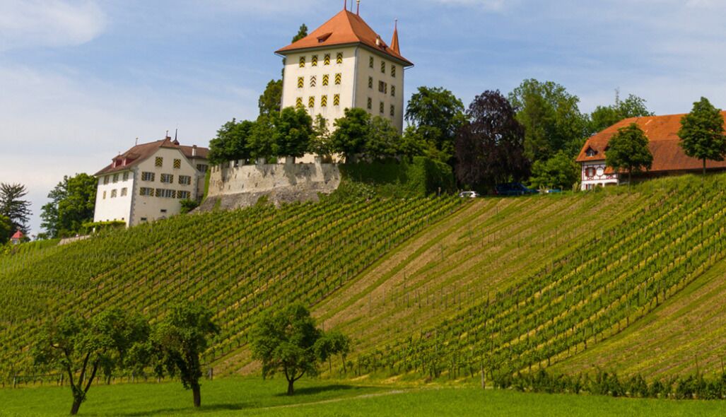 Photo of Outdoor in Gelfingen