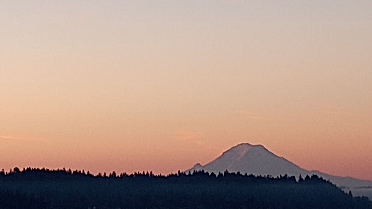 Photo of Outdoor in Silverdale