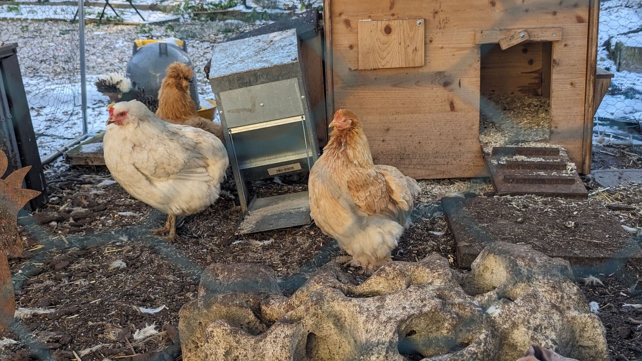 Photo of Outdoor in Chaumont