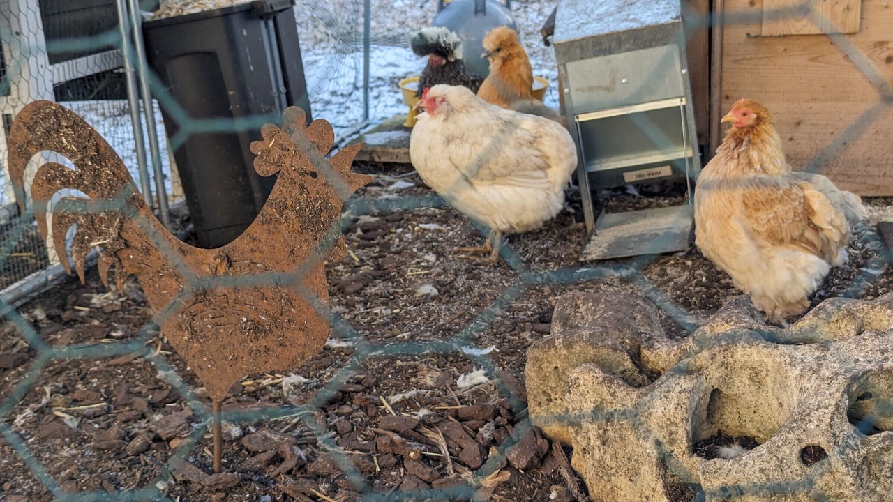 Photo of Others in Chaumont