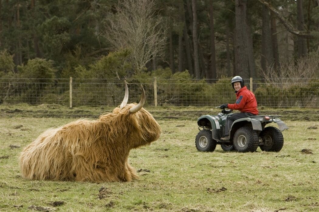 Photo of Others in Kingussie