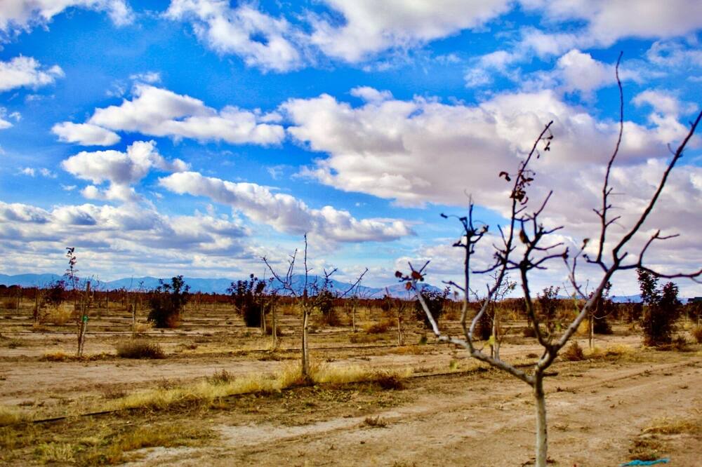 Photo of Outdoor in Willcox