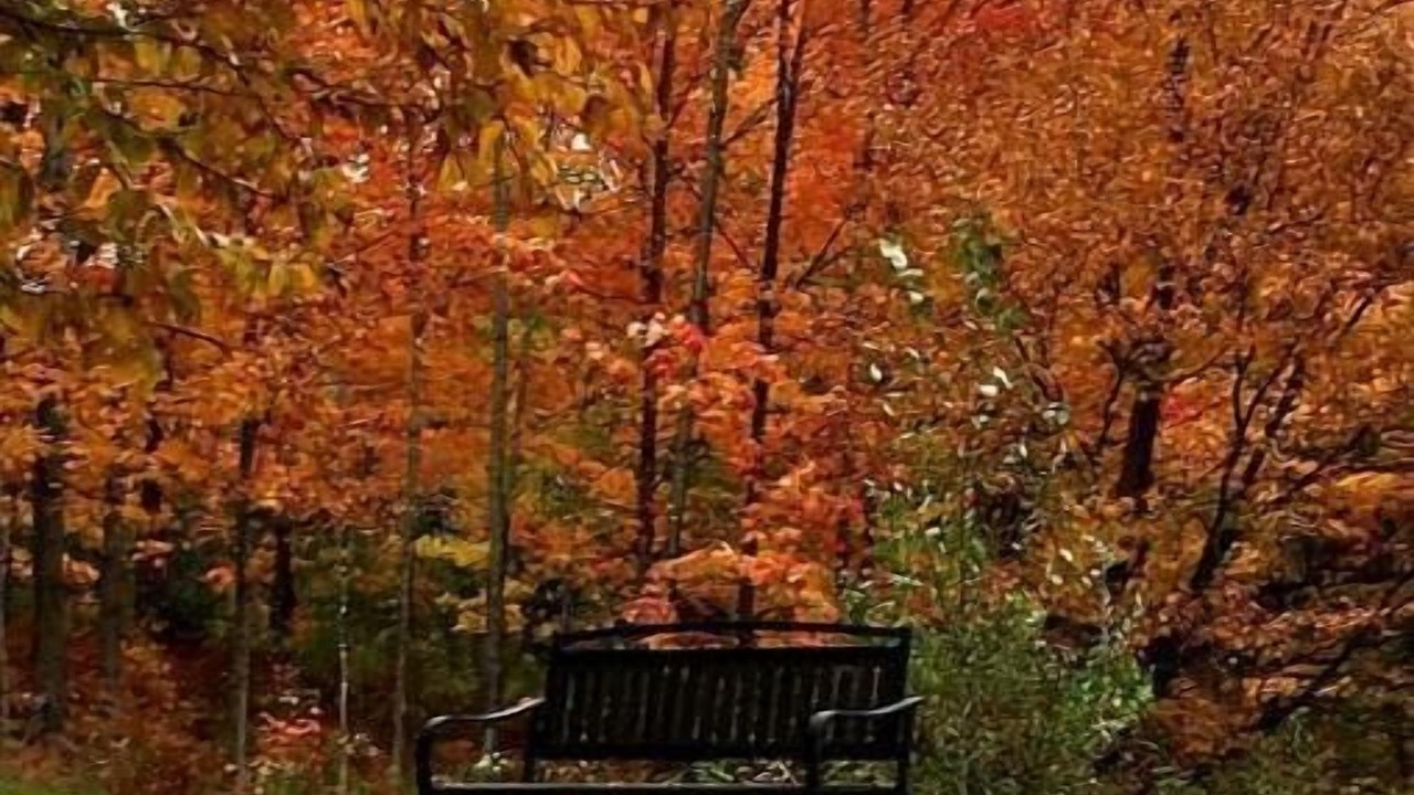 Photo of Outdoor in St-Ferdinand