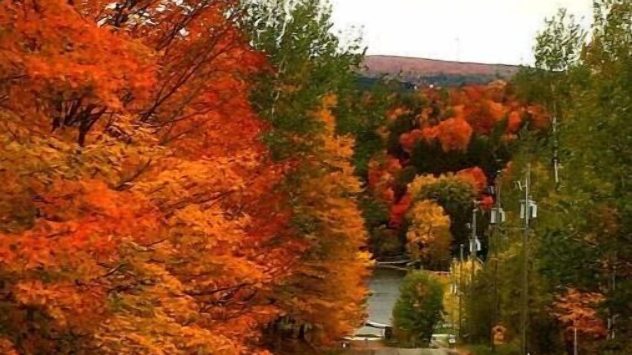 Photo of Outdoor in St-Ferdinand