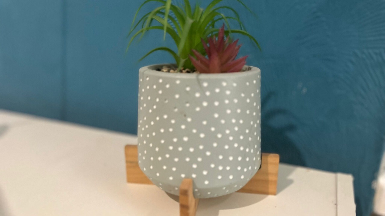 Photo of Others in Balham