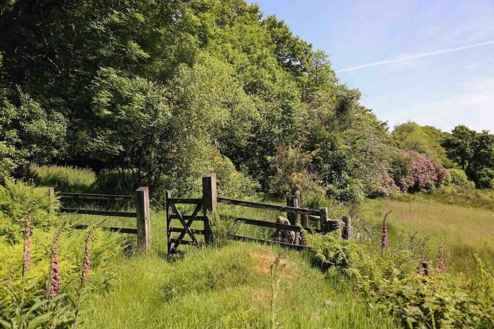 Photo of Others in Clearbrook