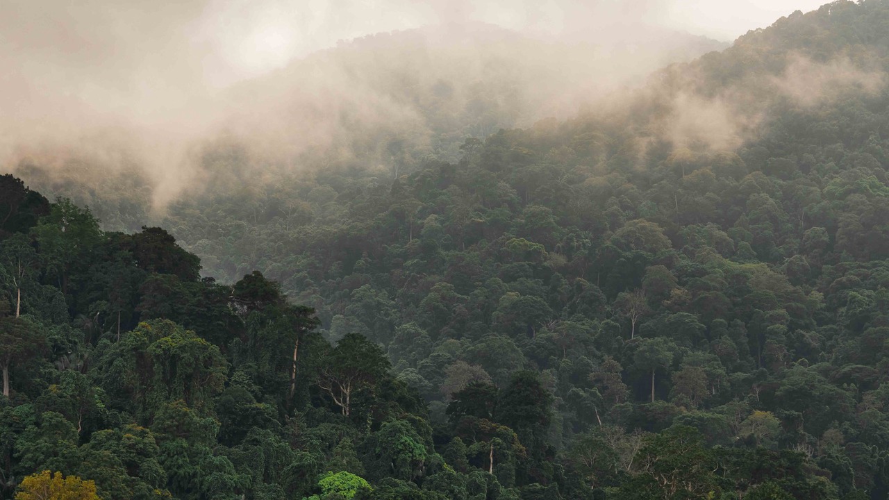 Photo of Outdoor in Tioman Island