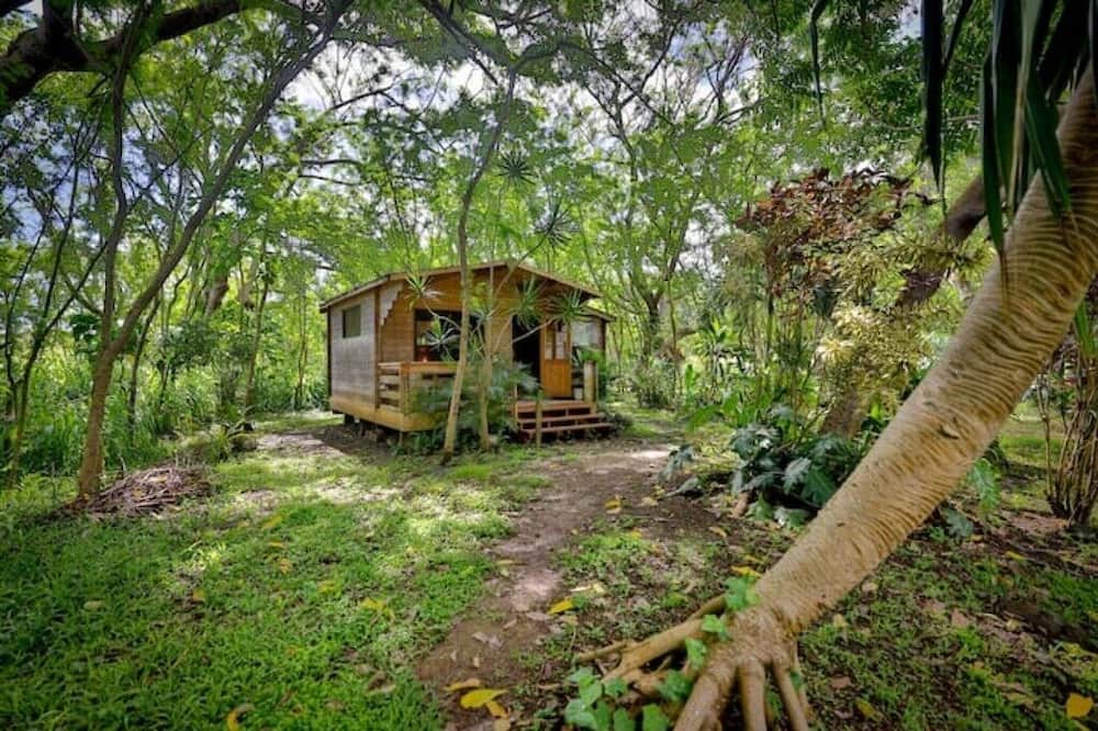 Photo of Outdoor in Punaluu