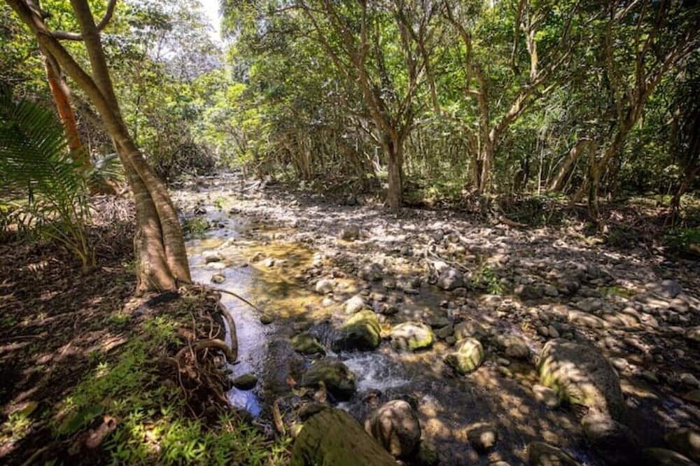 Photo of Bathroom in Punaluu