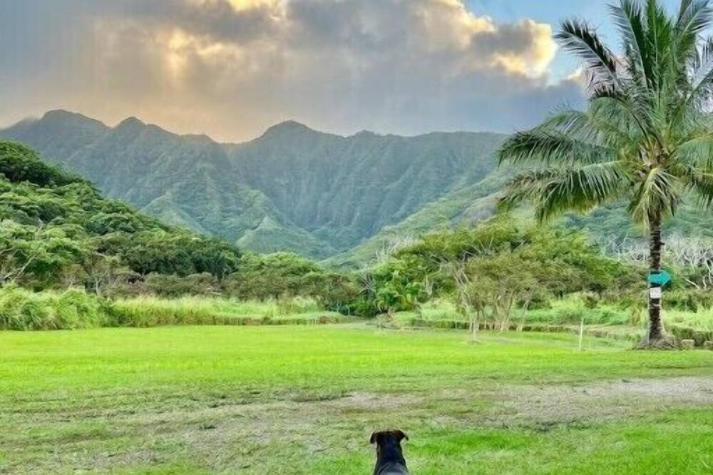 Photo of Outdoor in Punaluu