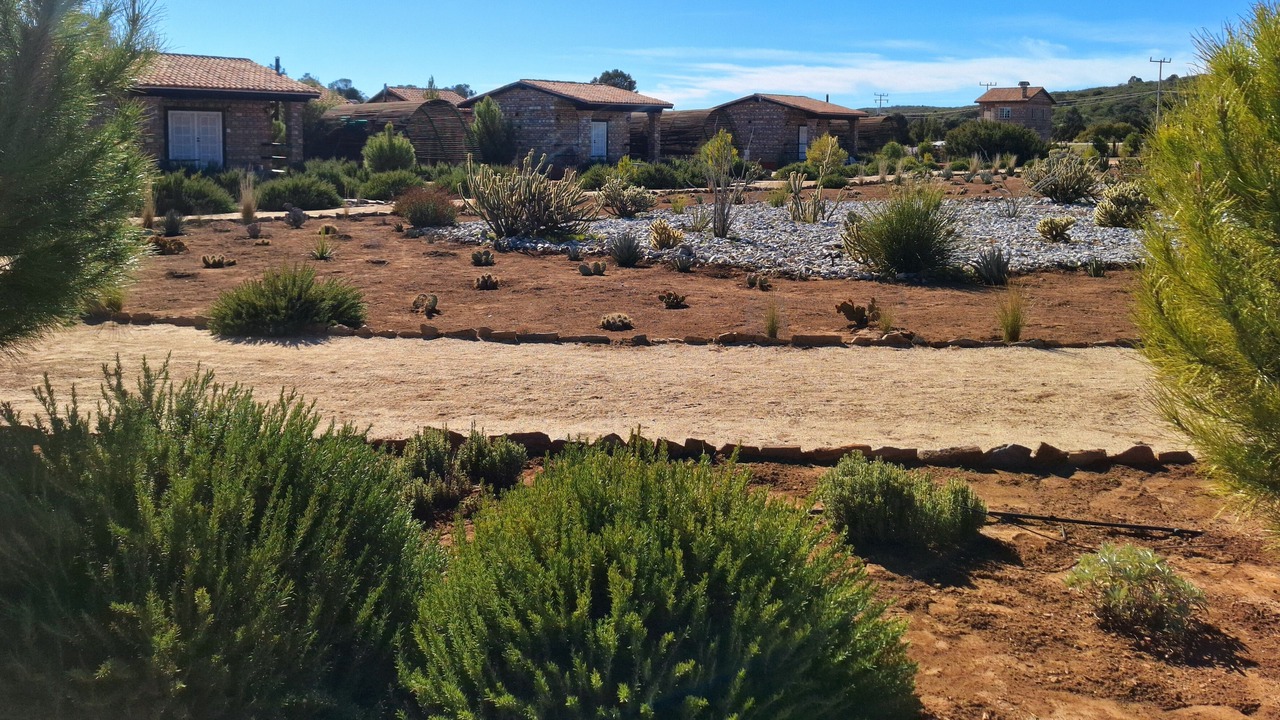 Photo of Outdoor in Tecate Municipality