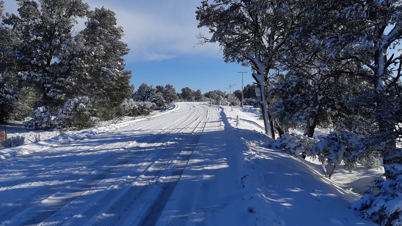 Photo of Outdoor in Tecate Municipality