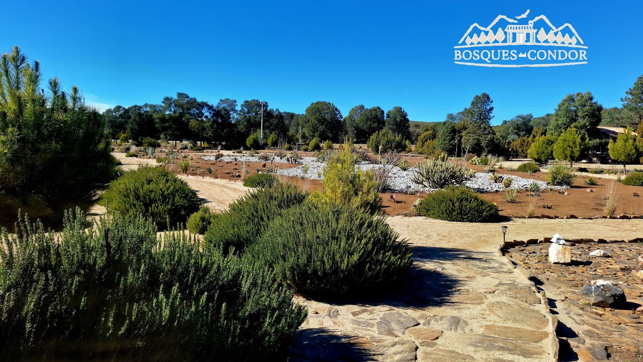 Photo of Outdoor in Tecate Municipality