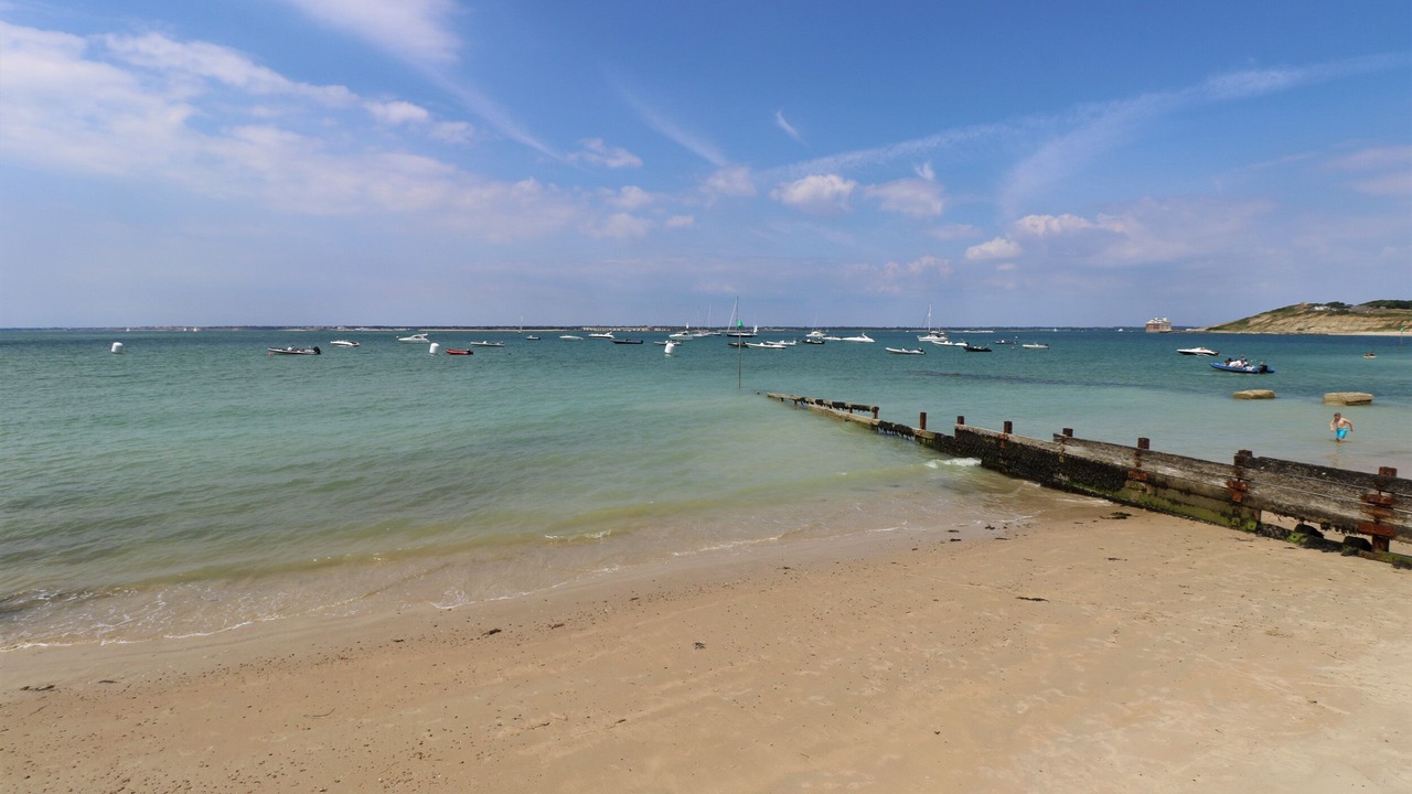 Photo of Others in Totland Bay