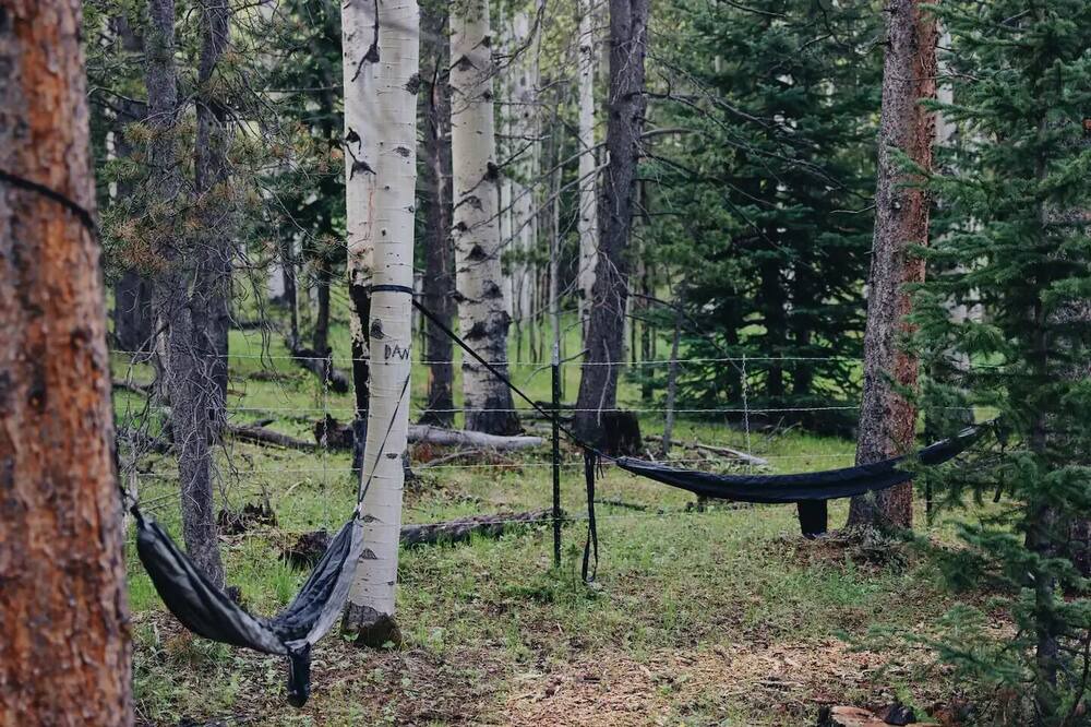 Photo of Others in Evergreen