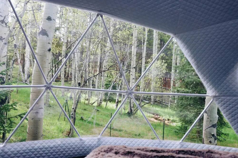 Photo of Outdoor in Evergreen