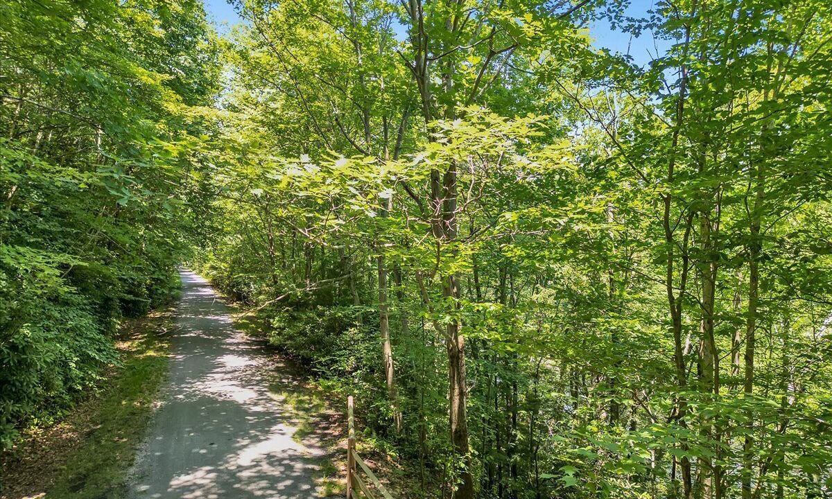 Photo of Outdoor in White Haven