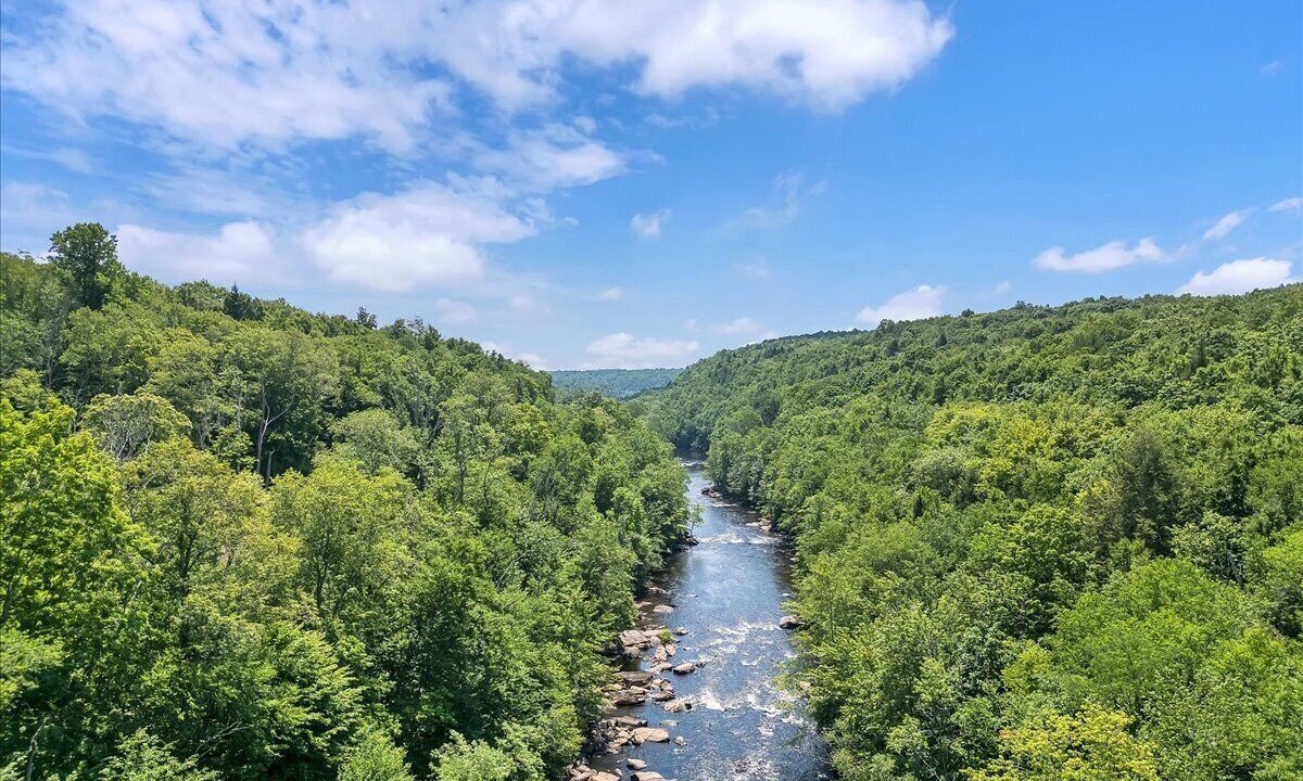 Photo of Others in White Haven