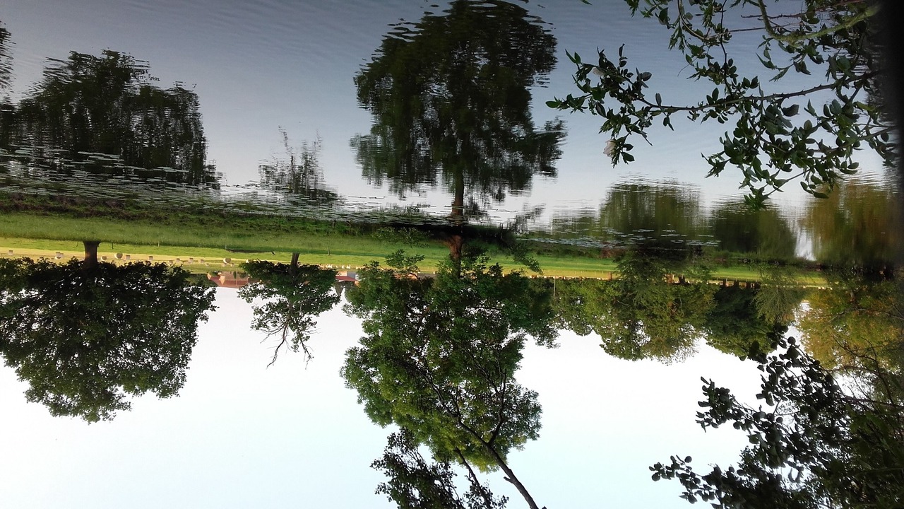 Photo of Others in Guillon