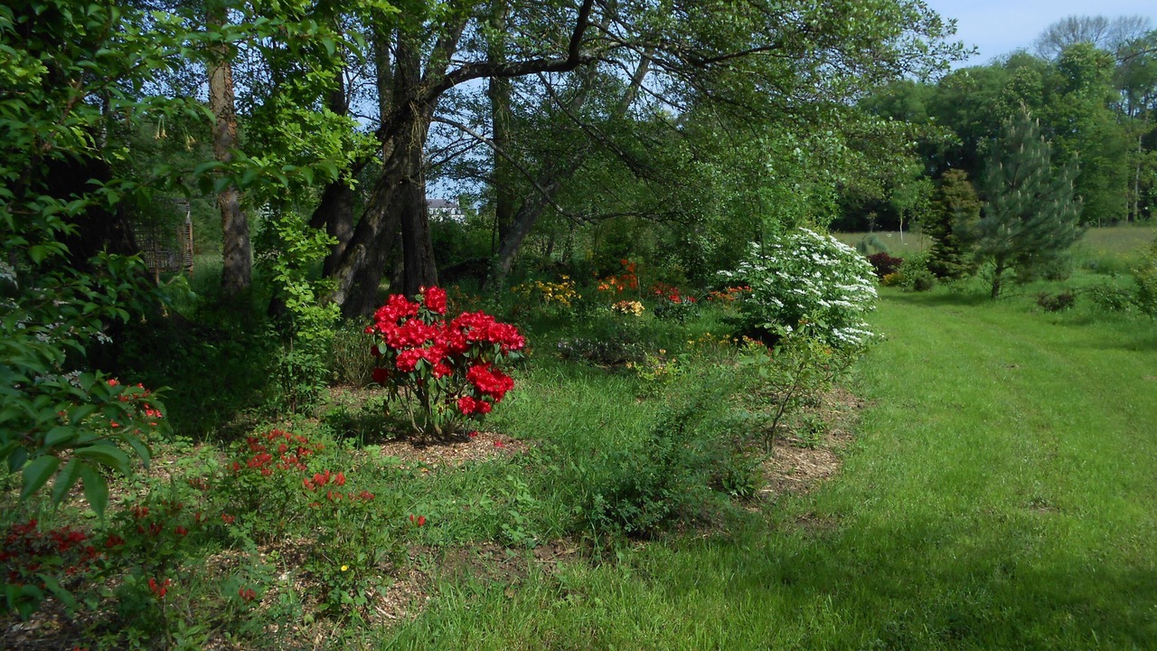 Photo of Outdoor in Guillon