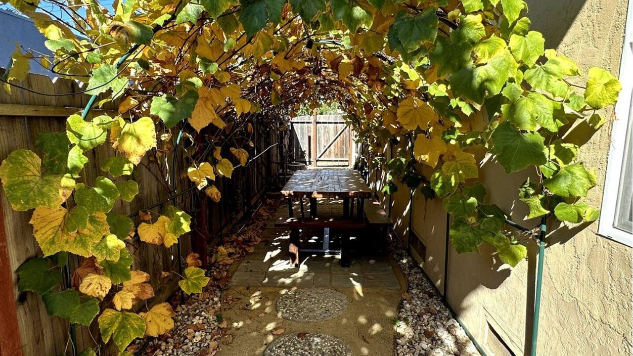 Photo of Outdoor in Fairview