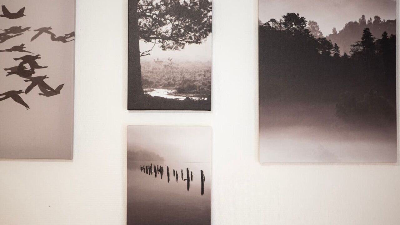 Photo of Others in Mulhouse