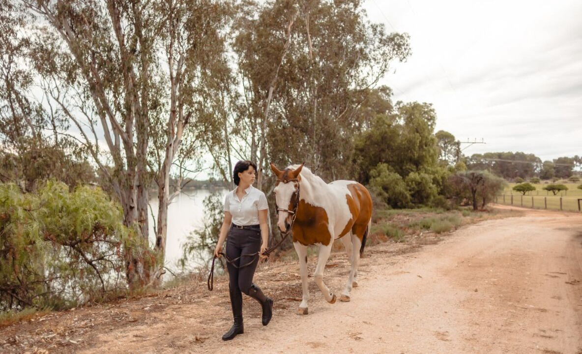 Photo of Others in Murbko