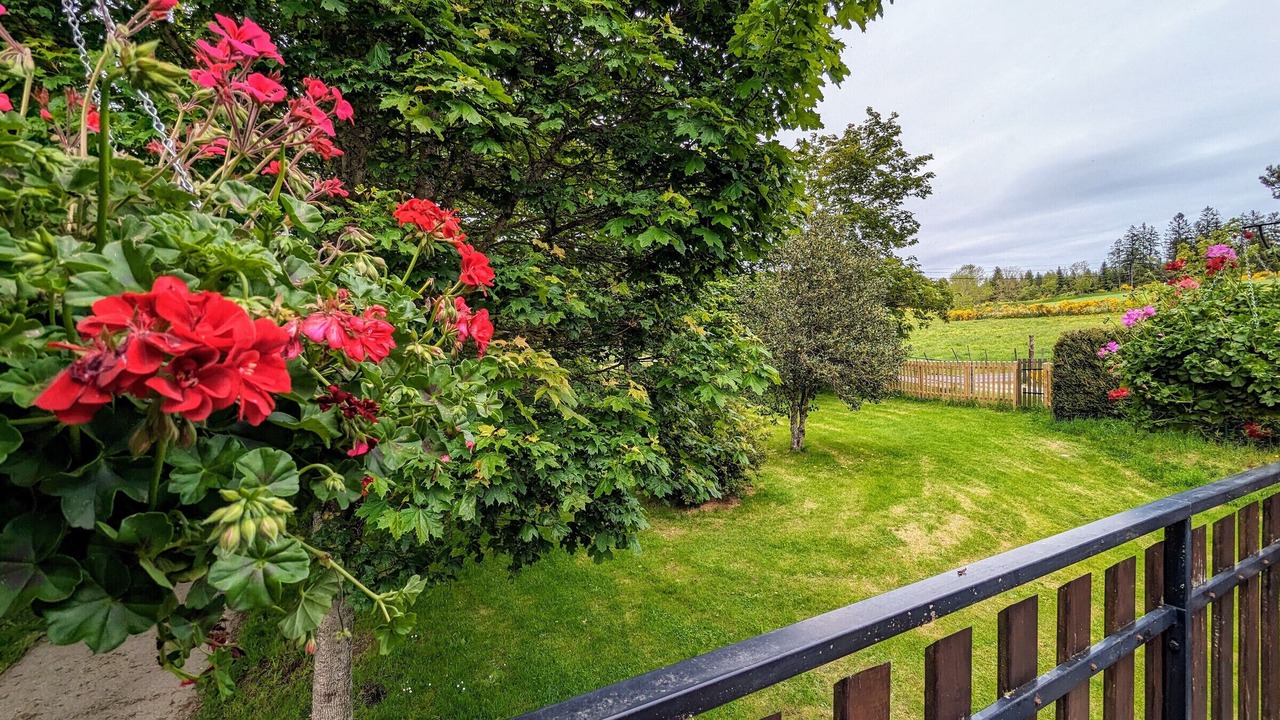 Photo of Outdoor in Saint-Romain-Lachalm