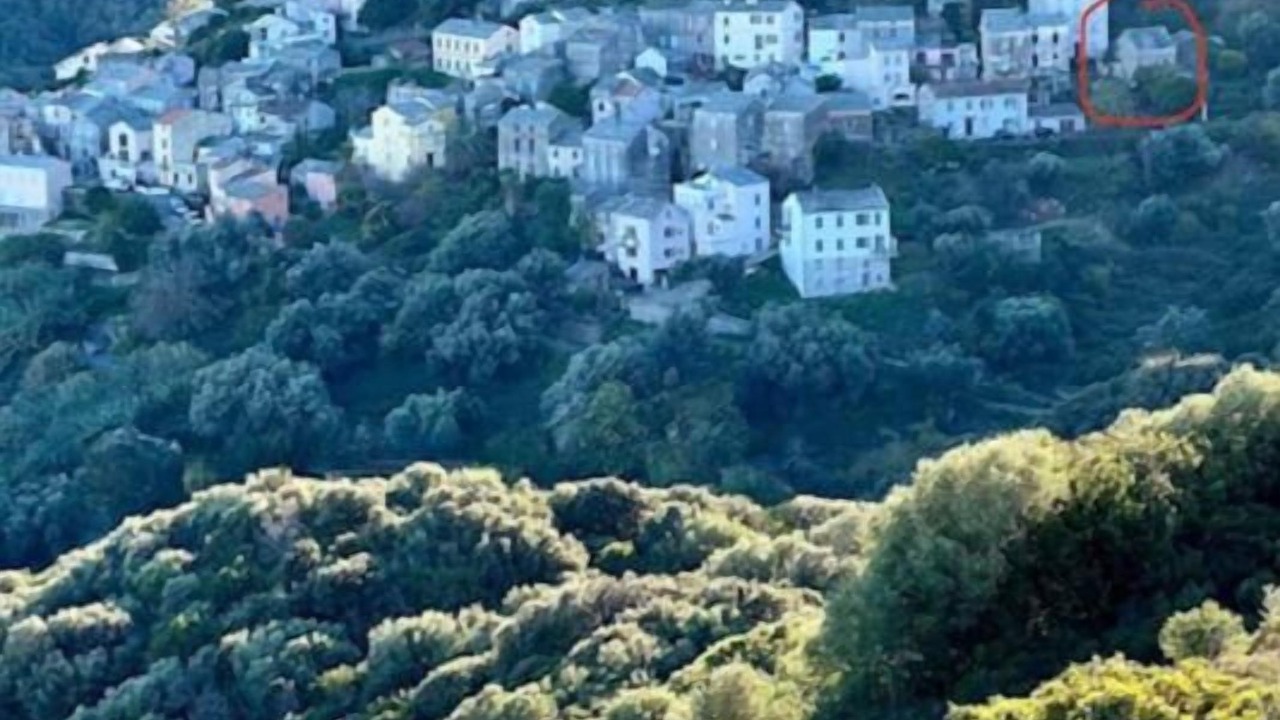 Photo of Outdoor in Rogliano