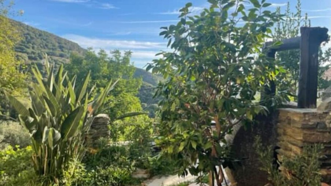 Photo of Outdoor in Rogliano