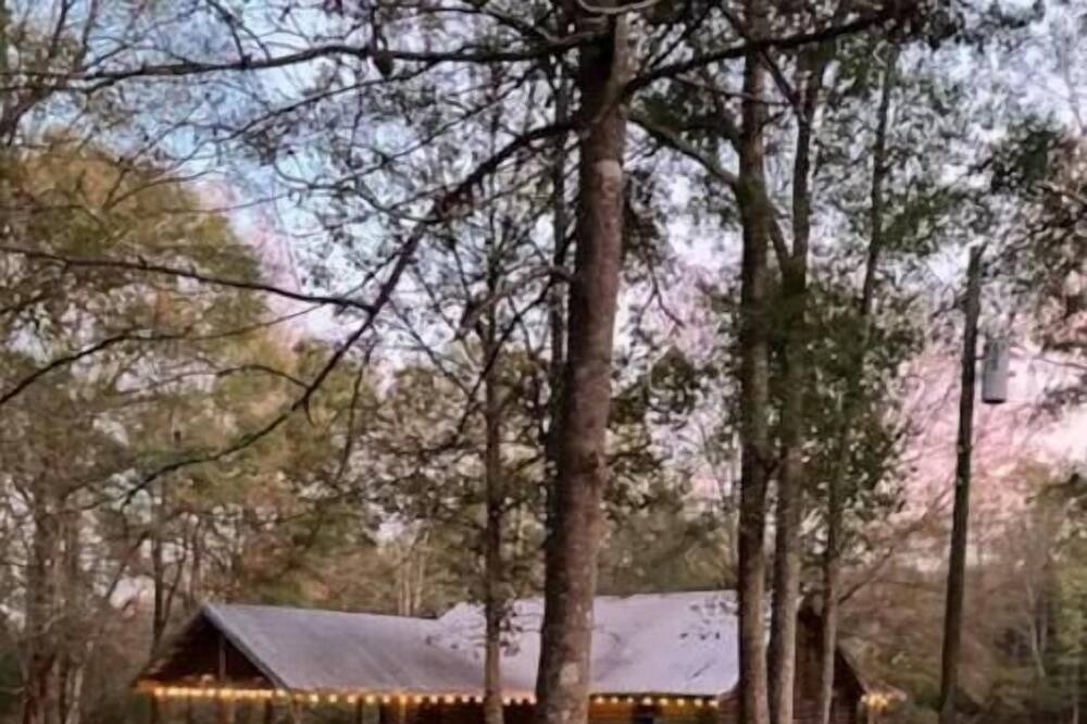 Photo of Others in Tylertown