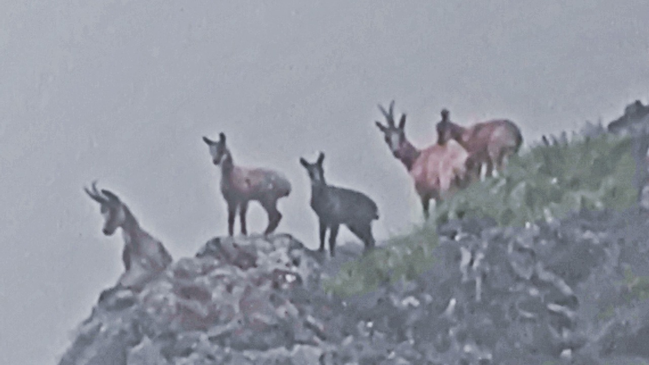 Photo of Others in Boutx