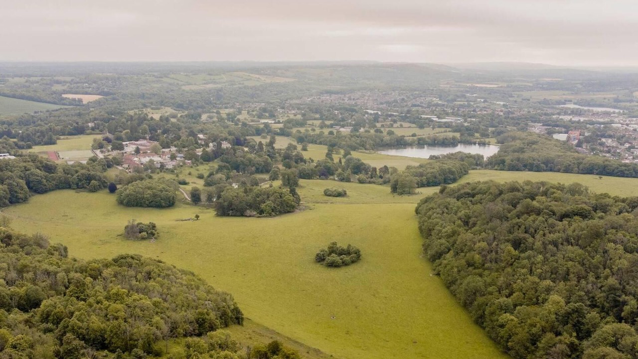 Photo of Others in Redhill