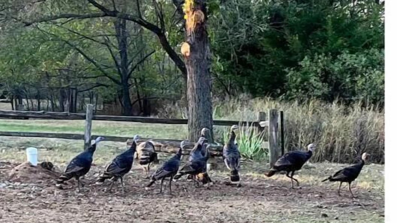 Photo of Outdoor in Ellsworth County