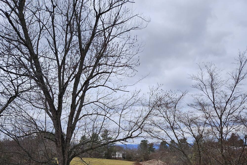 Photo of Outdoor in New Midway