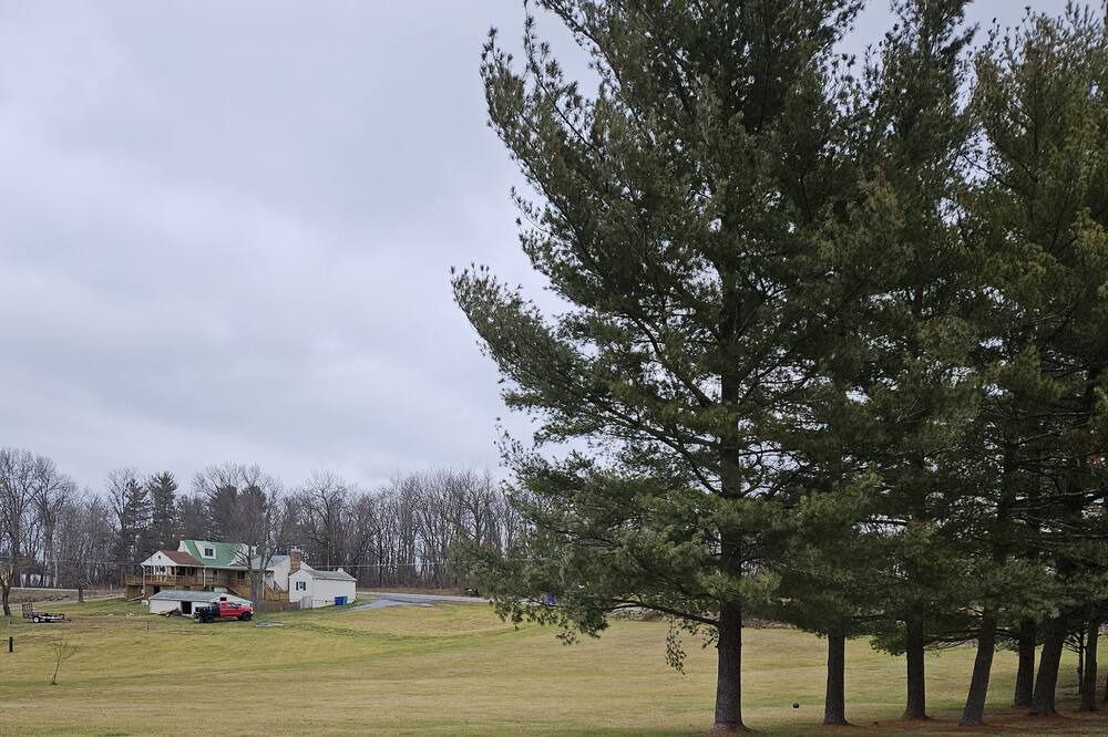 Photo of Others in New Midway
